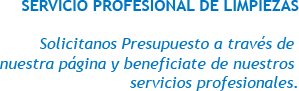 SERVICIO PROFESIONAL DE LIMPIE